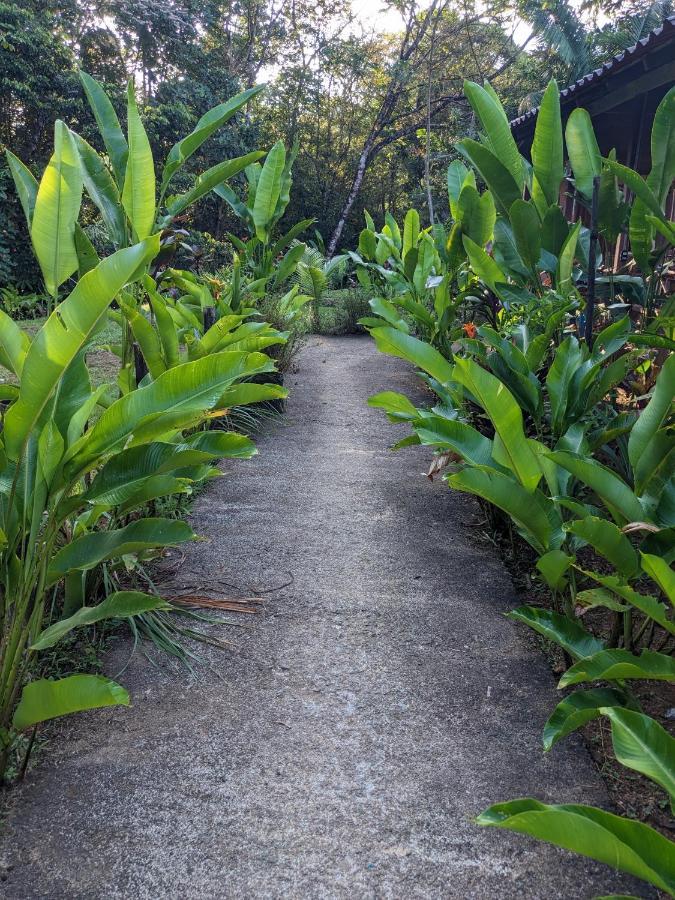 La Katalinda Hotel Drake Bay Luaran gambar